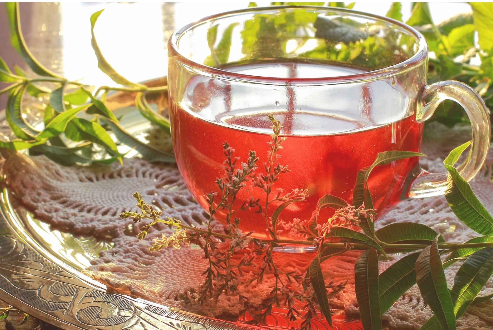 infusiones para bajar el cortisol