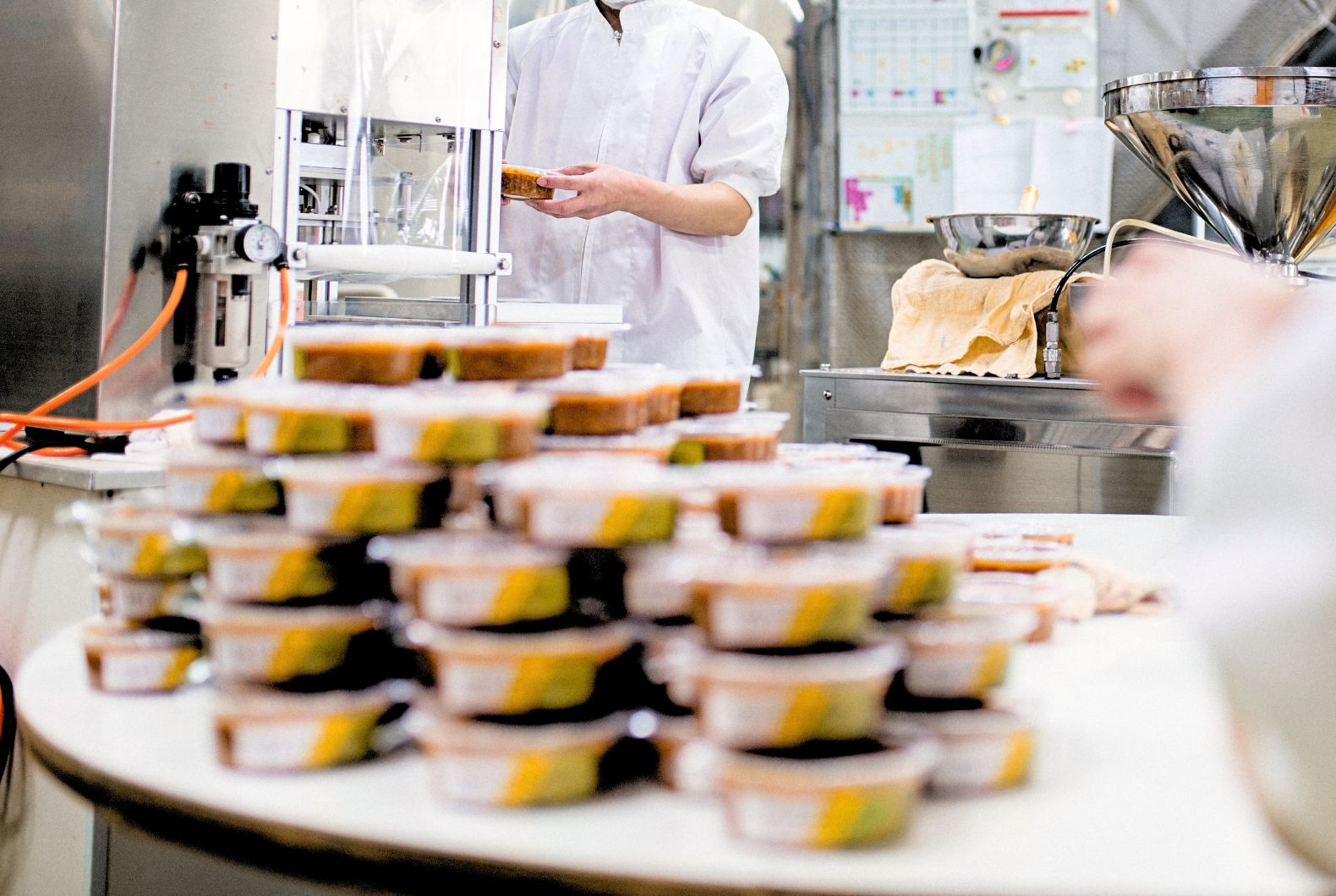 alimentos procesados y ultraprocesados