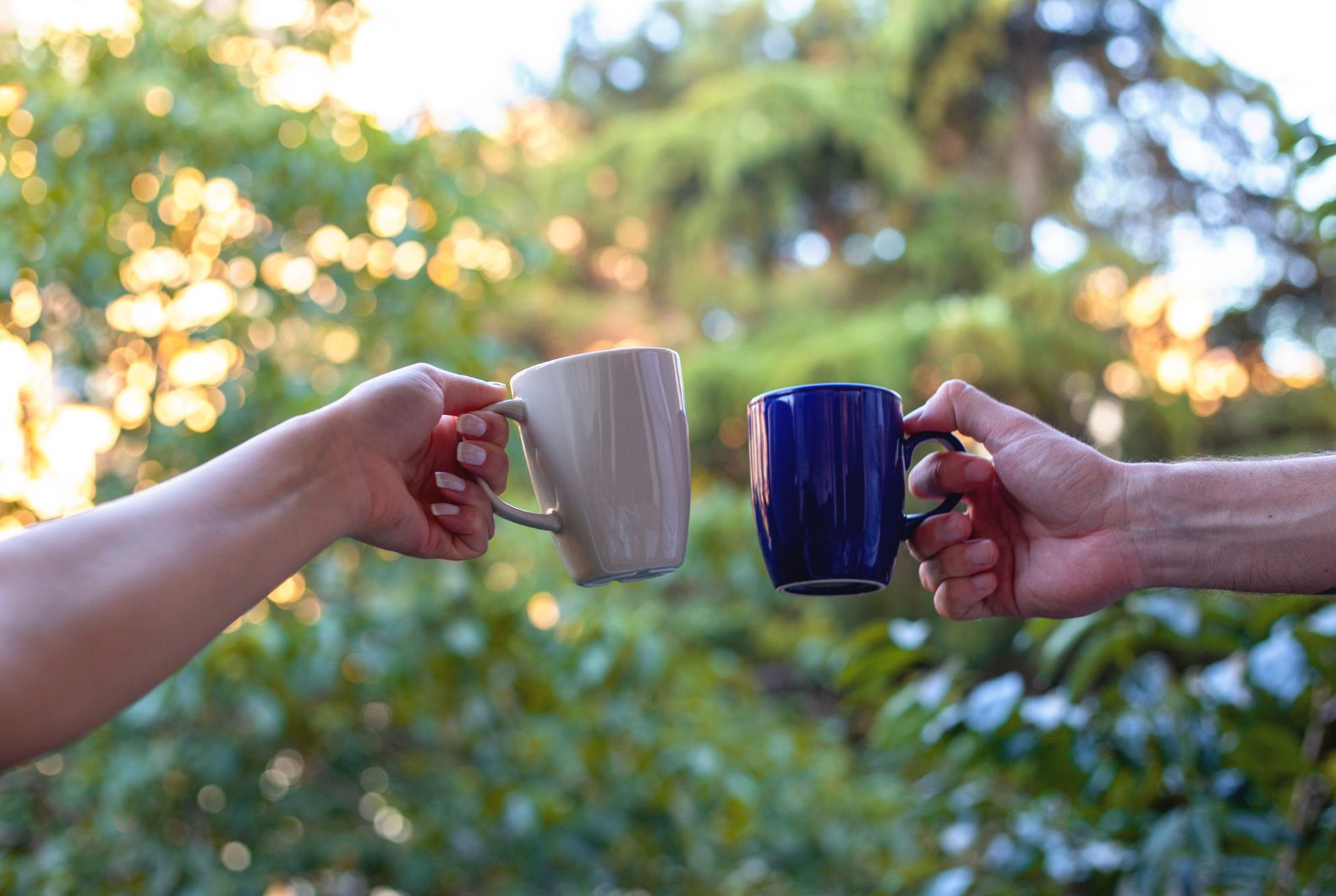 bebidas naturales para adelgazar