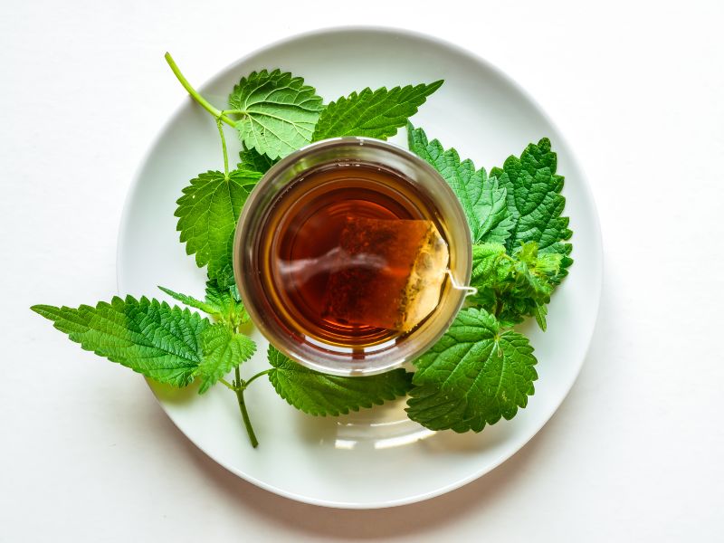 infusiones propiedades