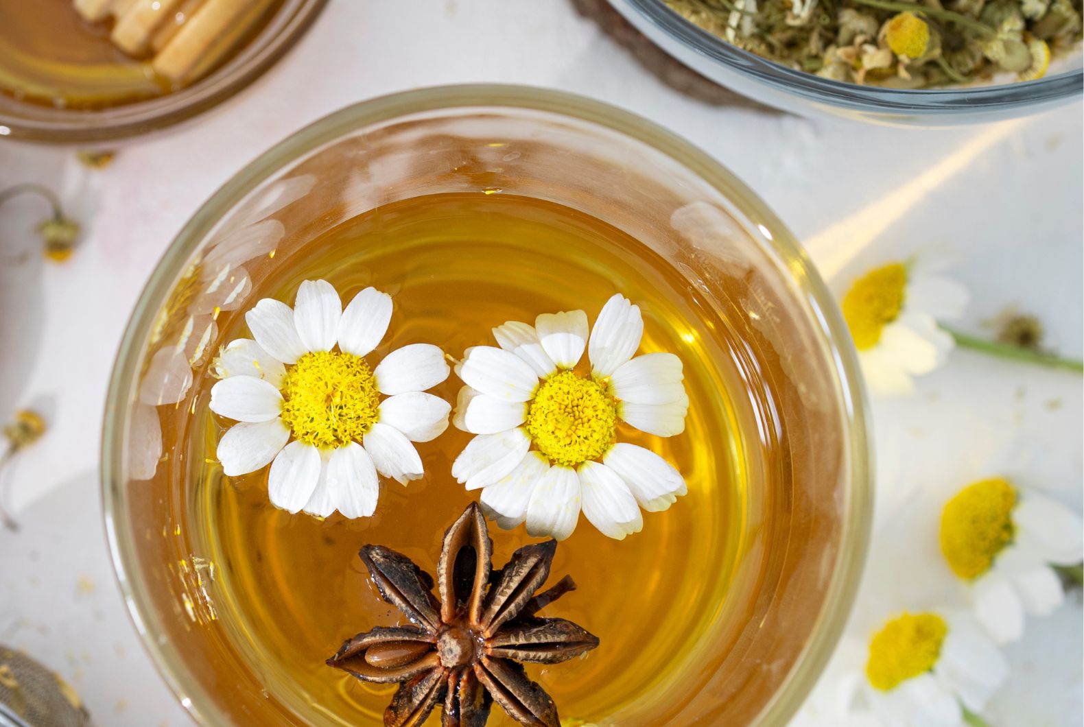 ¿Qué Infusiones Son Antiinflamatorias? Remedios Naturales que Funcionan