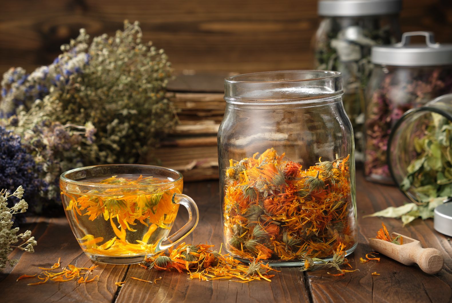 Tipos de Infusiones