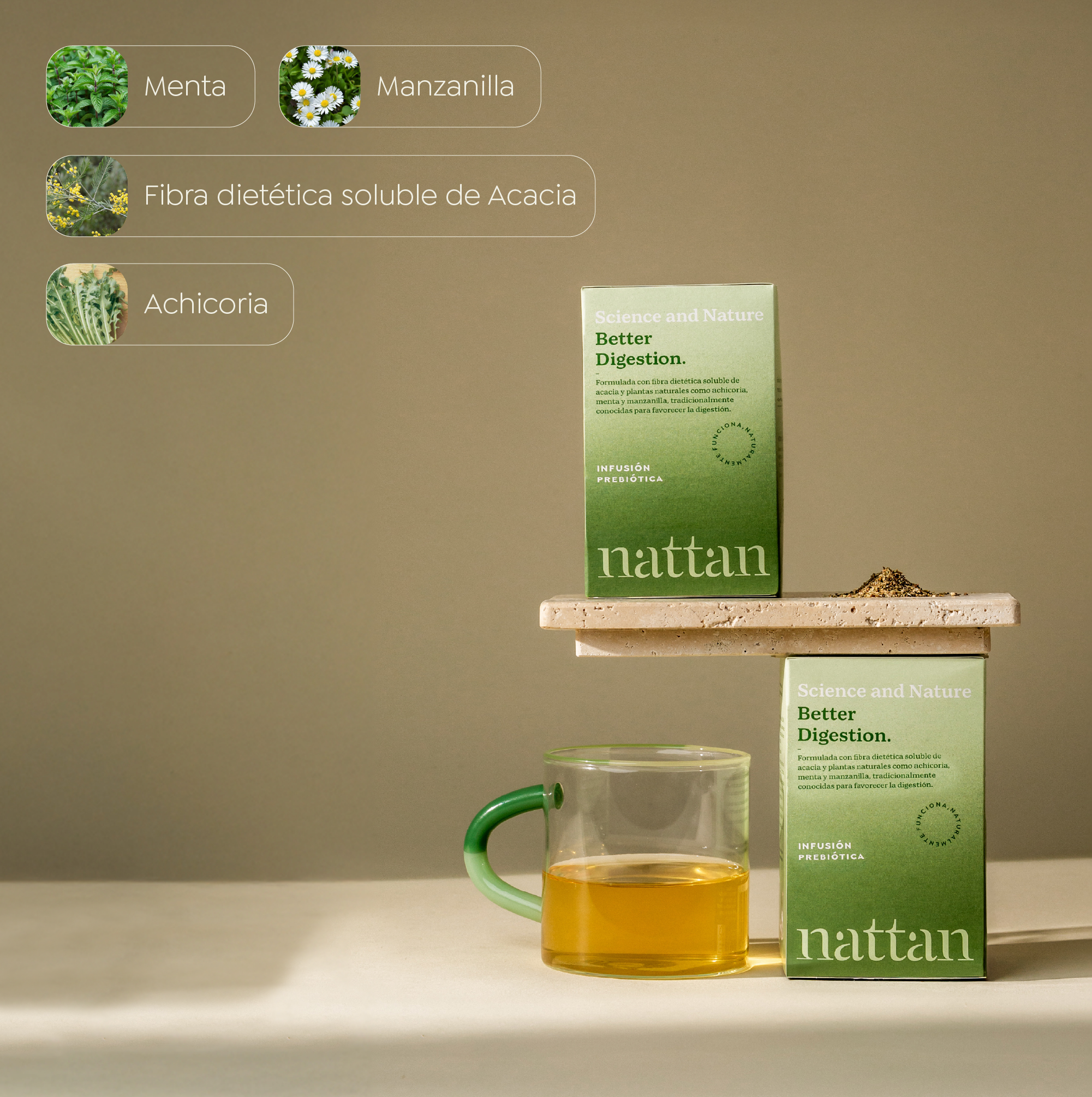 Better Digestion- Infusión Prebiótica