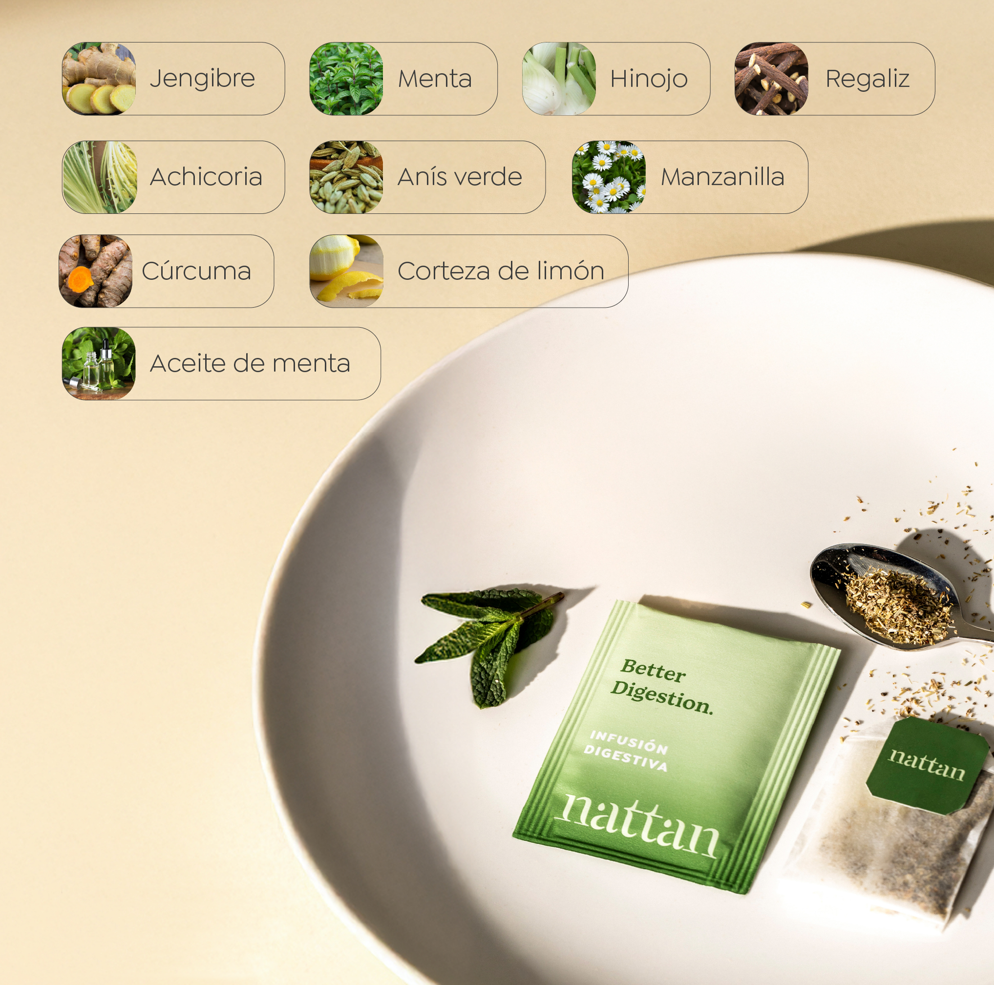 BetterDigestion4.2-Infusiondigestiva.png
