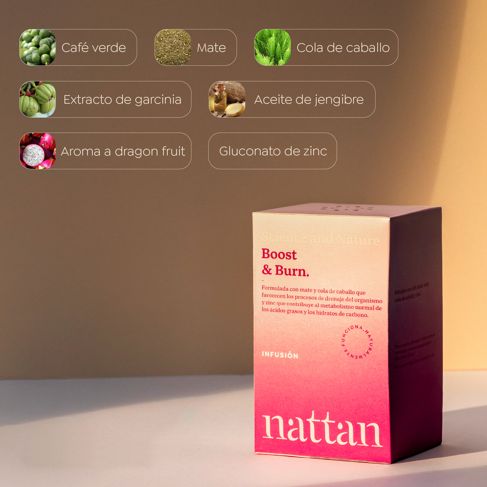 Boost_Burn3.2-InfusionIngredientes.png