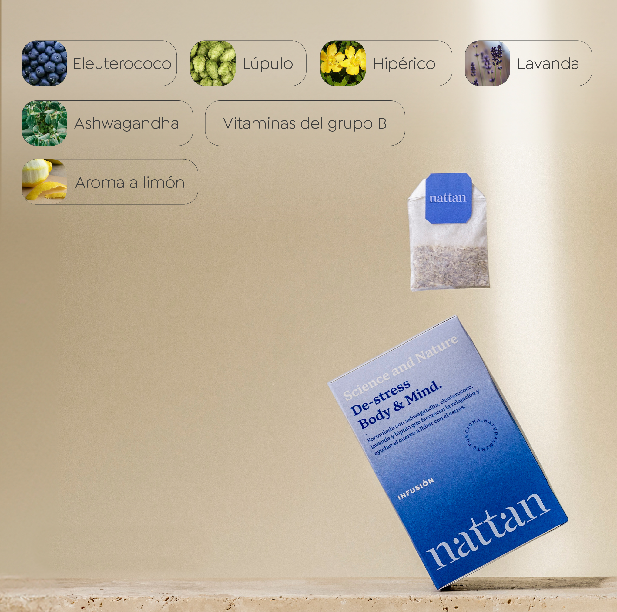 Plan De-stress Body & Mind
