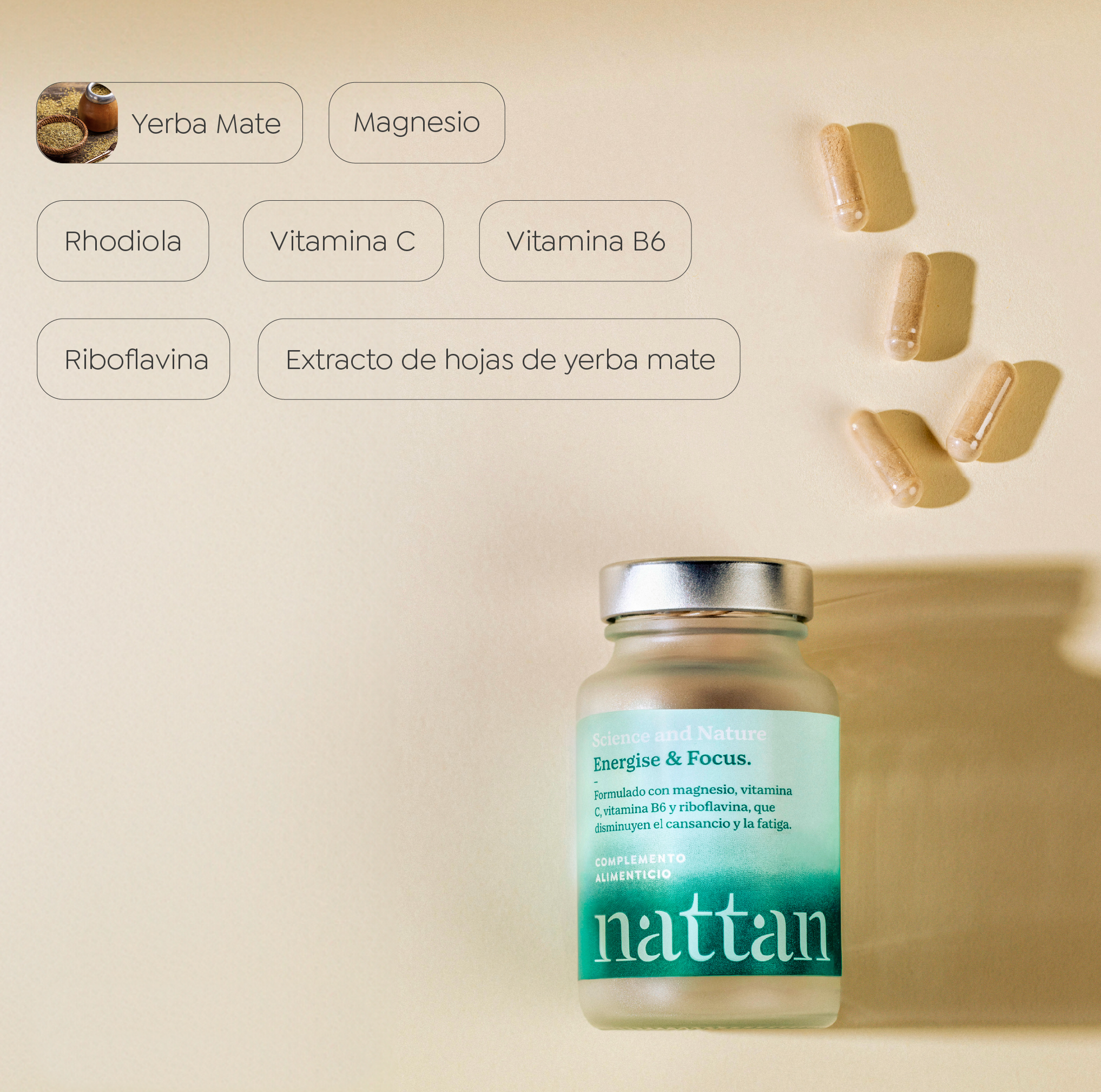 Enegise_Focus4.2-ComplementoIngredientes.png
