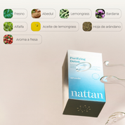 Plan Purifying Detox