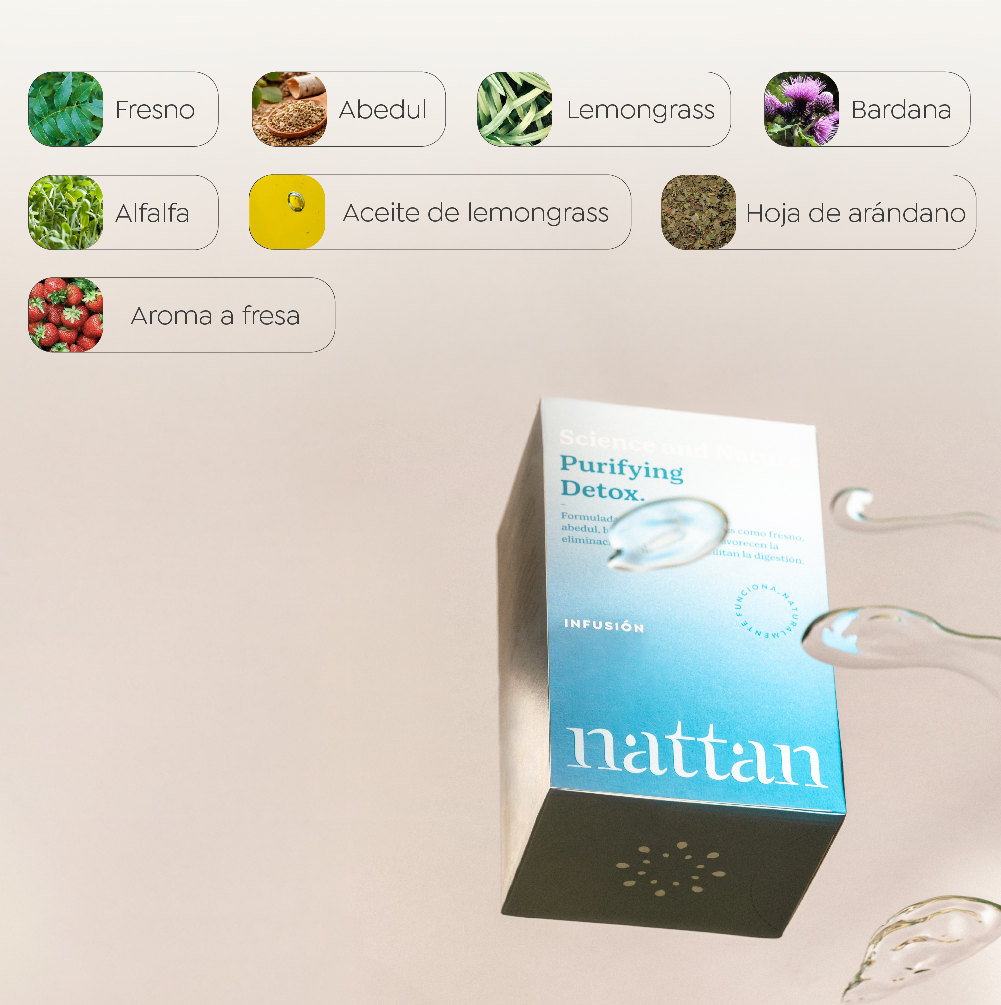 Plan Purifying Detox